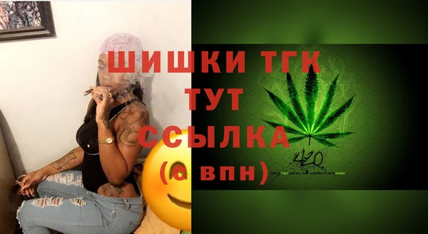 амф Богданович