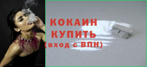 гидра Богородицк