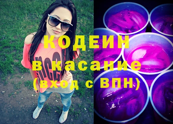 крисы Сатка