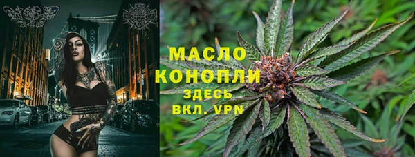 крисы Сатка