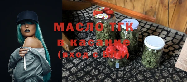 гидра Богородицк